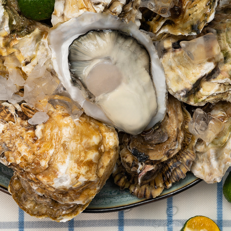 乳山生蚝5斤 现捞现发鲜活新鲜大牡蛎带壳海蛎子厂家直发