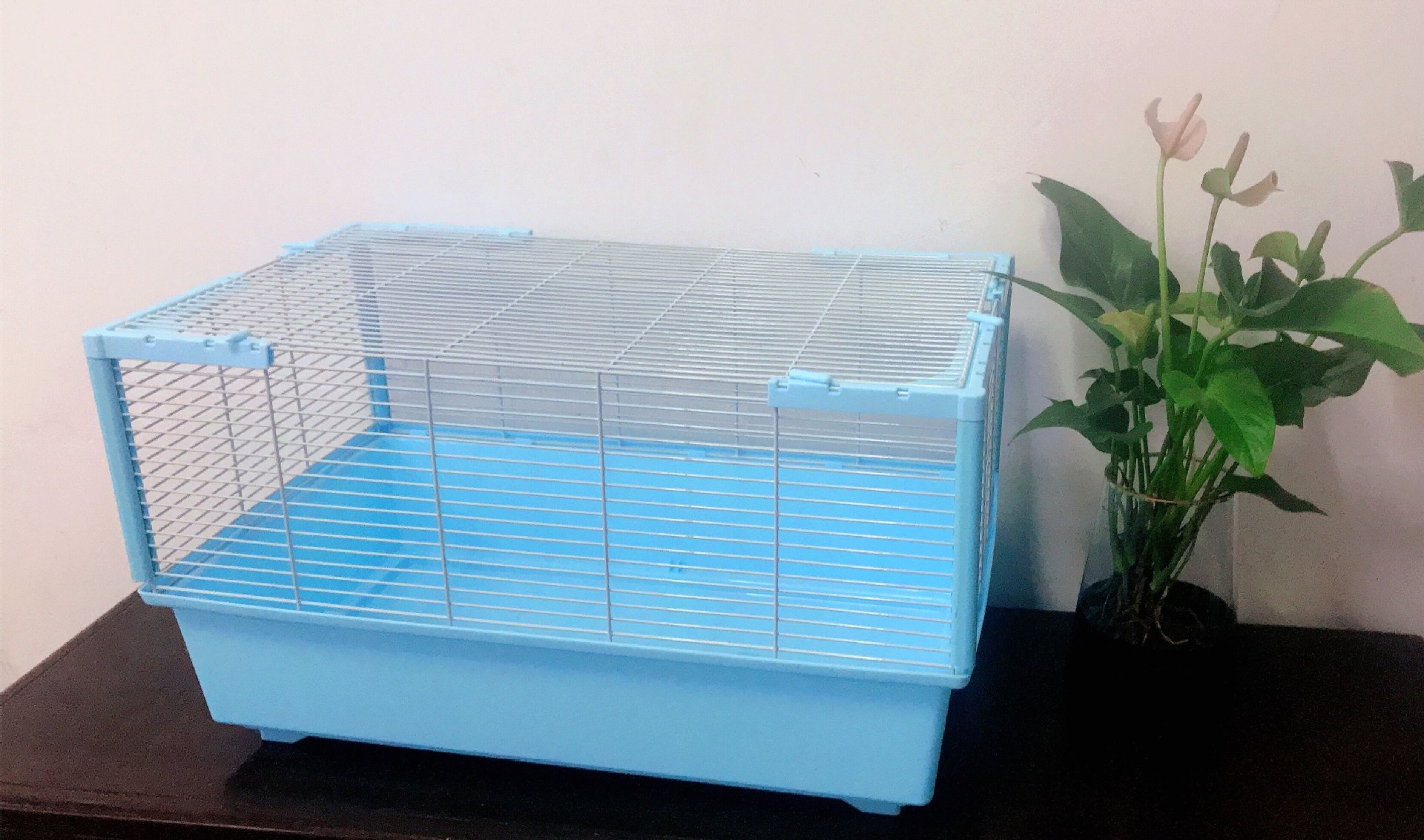 宠波尔 仓鼠笼超大豪华别墅笼60双层基础笼刺猬花枝鼠松鼠笼预售