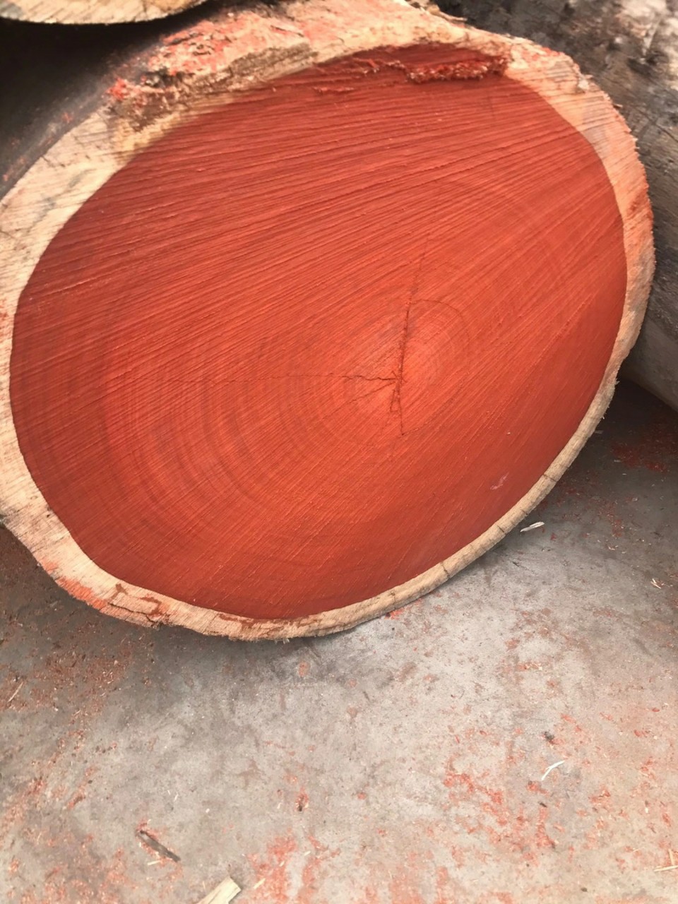 批发红花梨木原木 红花梨木板材 非洲花梨木 非洲紫檀木 香花梨木
