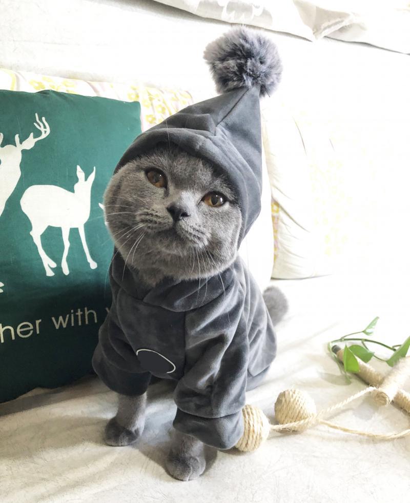猫咪狗狗猫卫衣宠物服装英短蓝猫秋冬季衣服双面加绒猫衣服潮流牌