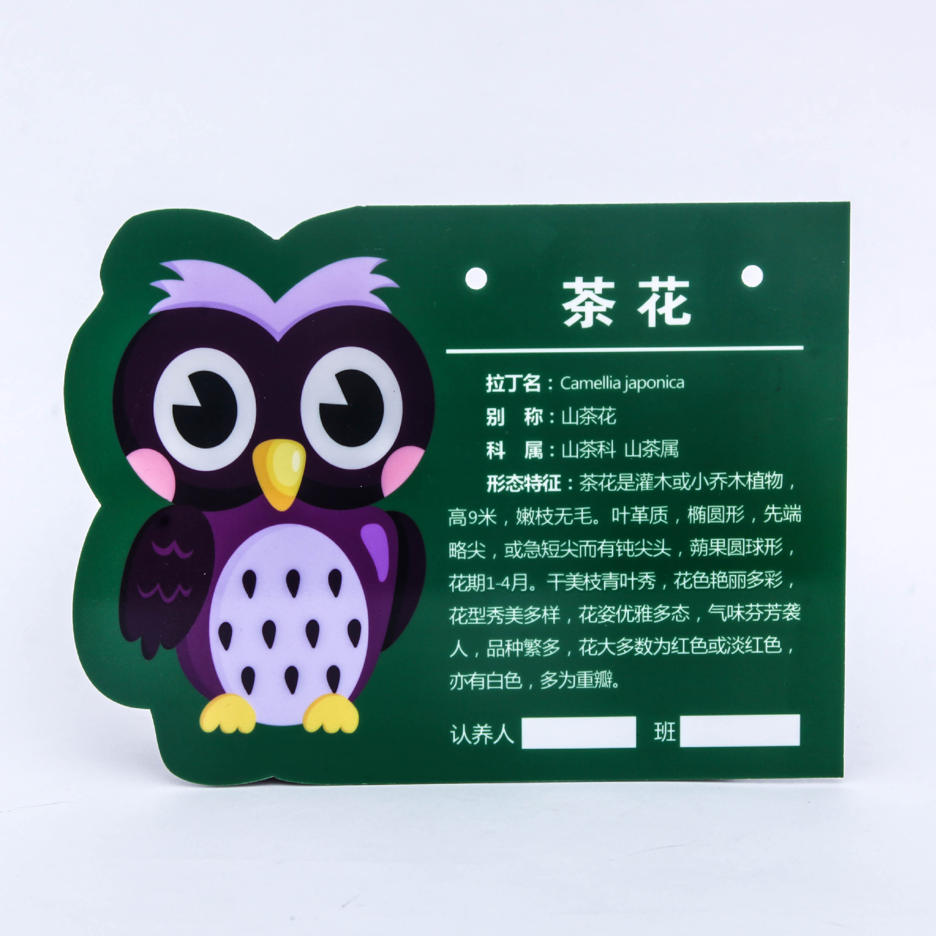 花草牌亚克力树牌植物铭牌标识志牌树木介绍挂牌木广告牌定制标牌