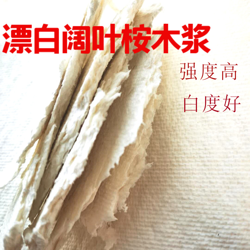 针叶木浆纤维  现货 工业艺术试验应用 漂白纸浆0625