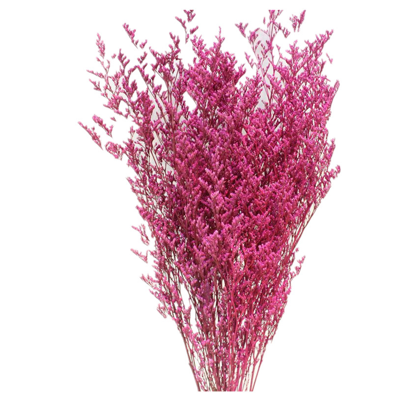 永生情人草永生花吸色情人草多色可选软装装饰120克一束厂家批发