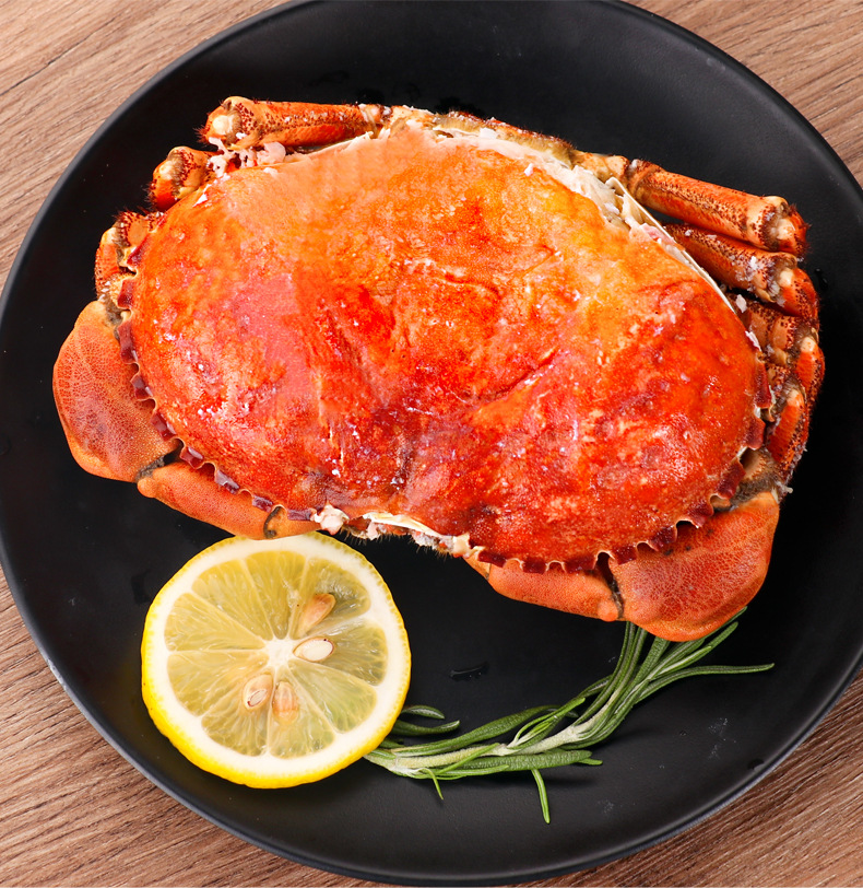 英国鲜活熟冻面包蟹多蟹黄即食黄金蟹螃蟹水产海鲜珍宝蟹400-600g