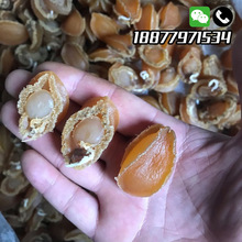 北部湾淡晒鲍鱼干北海鲍鱼干干货散装500g约100头/60头大号鲍鱼干