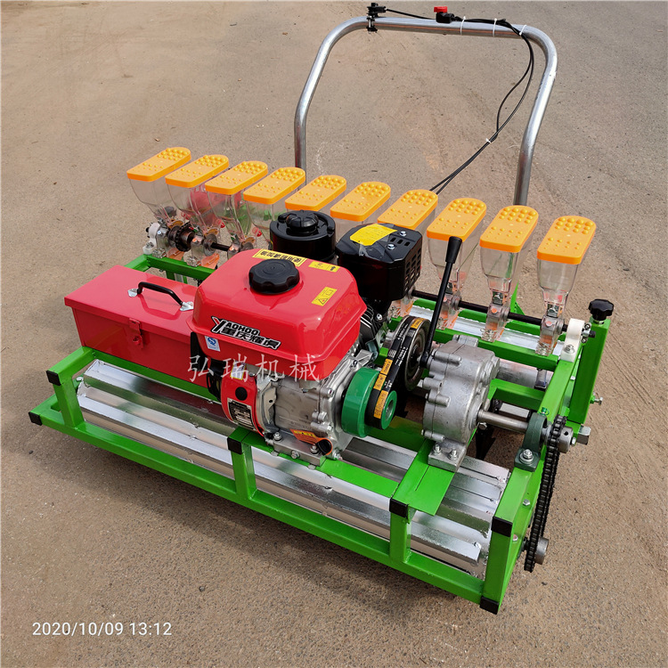 菠菜香菜精量播种机 小油菜上海青免间苗精播 山东蔬菜播种机价格