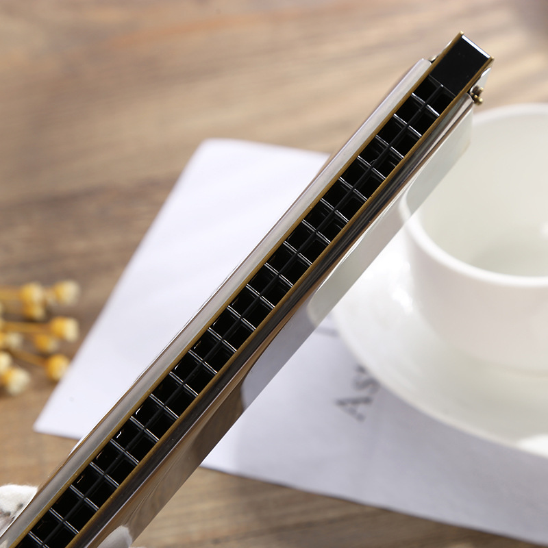 新款复音口琴地摊货源t240124孔儿童音乐训练学习乐器