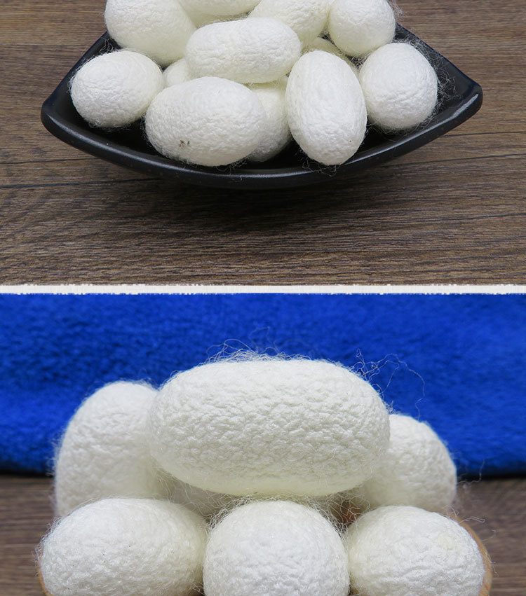 蚕茧 带蛹蚕茧 蚕衣 单宫蚕茧壳另有蚕衣壳原产地发货500g