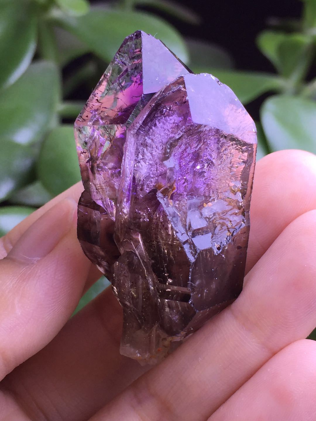 天然紫发晶超七骸骨原石大师高频水晶疗愈石紫发云母共生