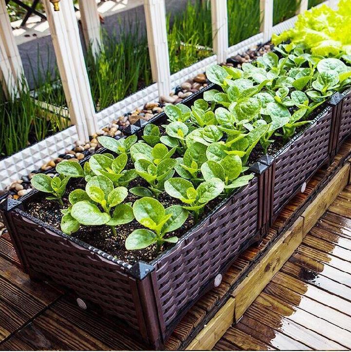 菜苗阳台种菜盆栽种植盆盆种植正方形防锈花盆托塑料框园林120cm