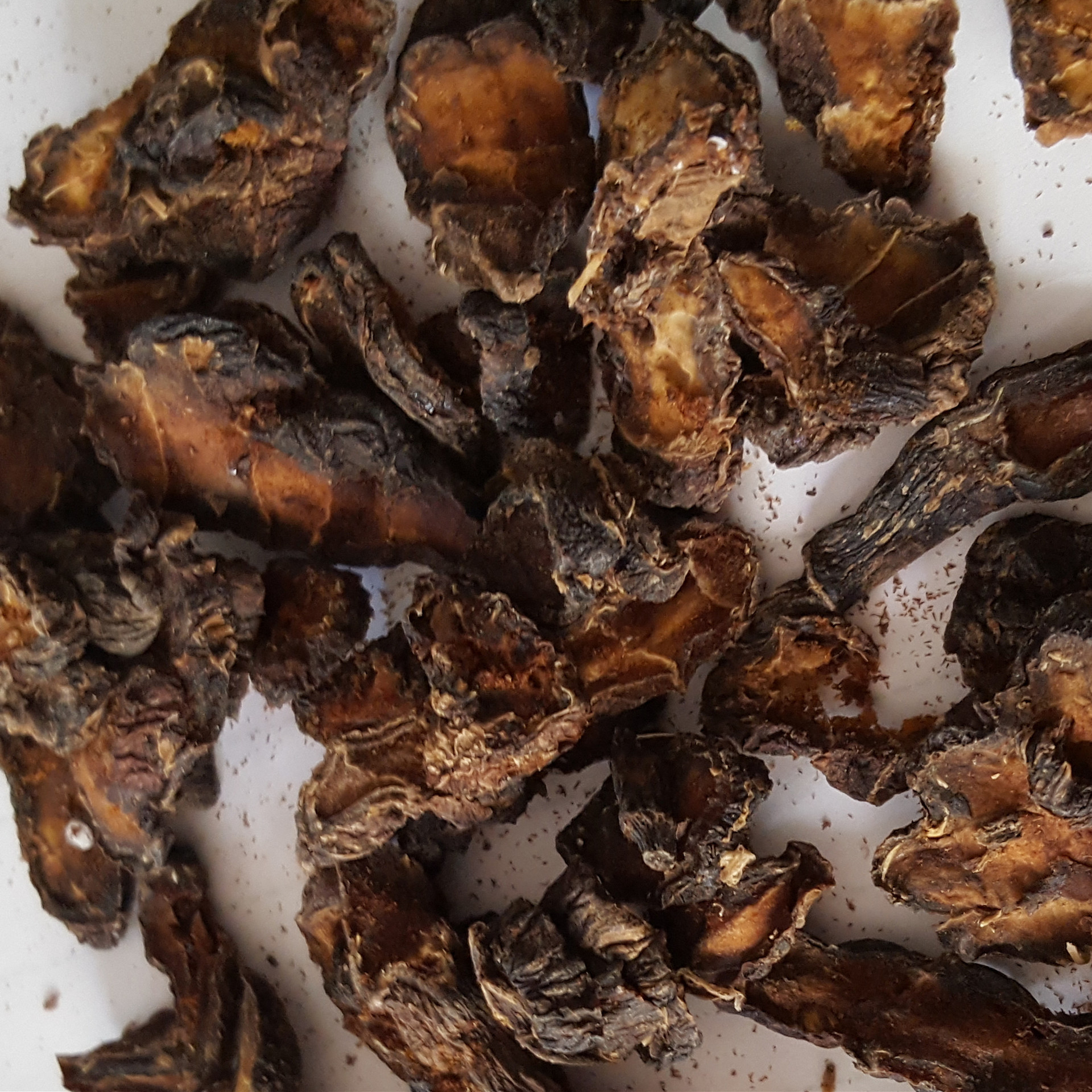 中药材 华山参 热参 秦参 白毛参 二月旺 大紫参 大货供应