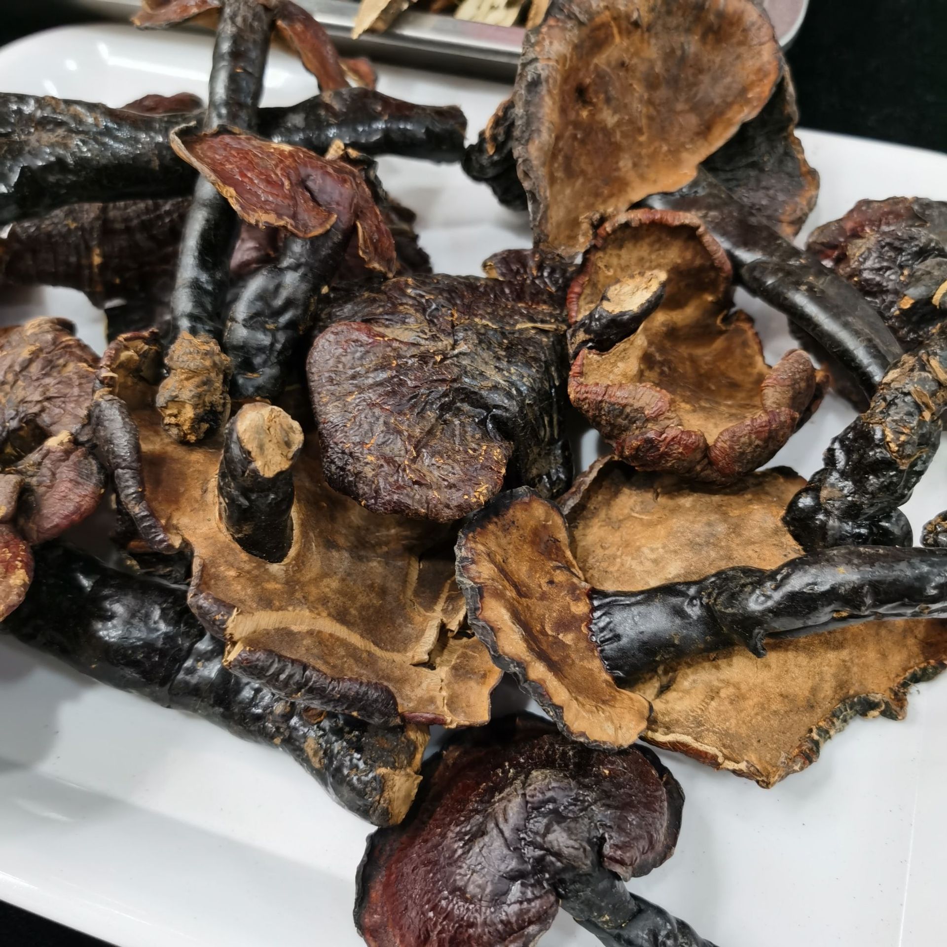 众珍元西藏赤灵芝 西藏赤灵芝 白肉赤灵芝 西藏灵芝 白肉赤灵芝