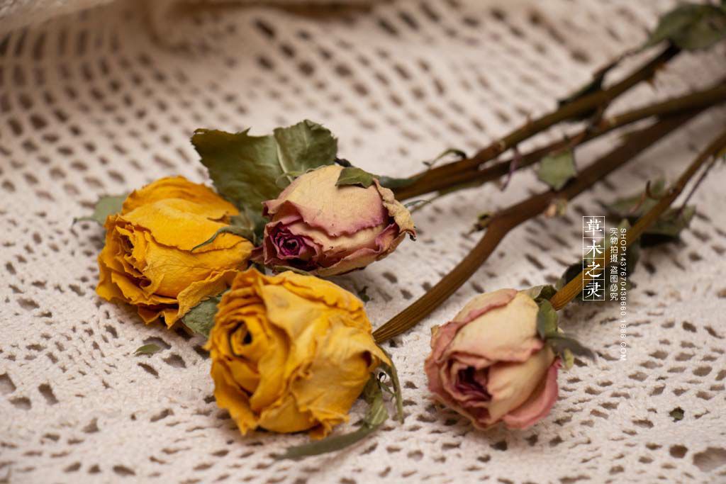 黄玫瑰干花 倒吊花束藤圈花环材料