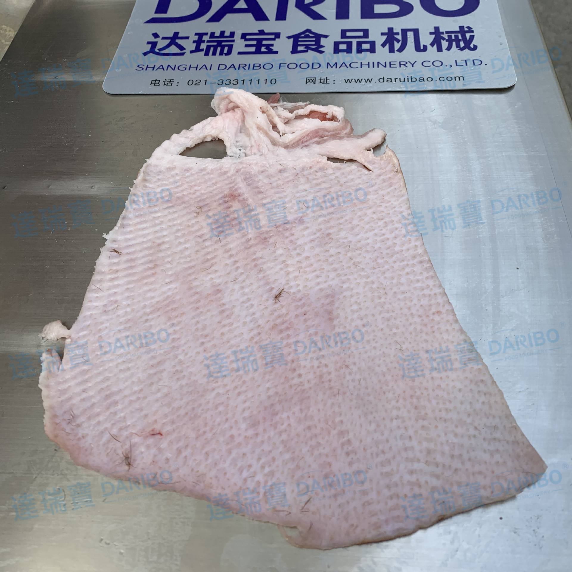 l新鲜猪肉刮皮机 糟头肉去皮机 猪肉蹬皮机 商用猪肉肉皮分离机