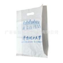 广州图文复印店A3尺寸塑料袋 标书文件PO冲孔袋 补习班宣传广告袋