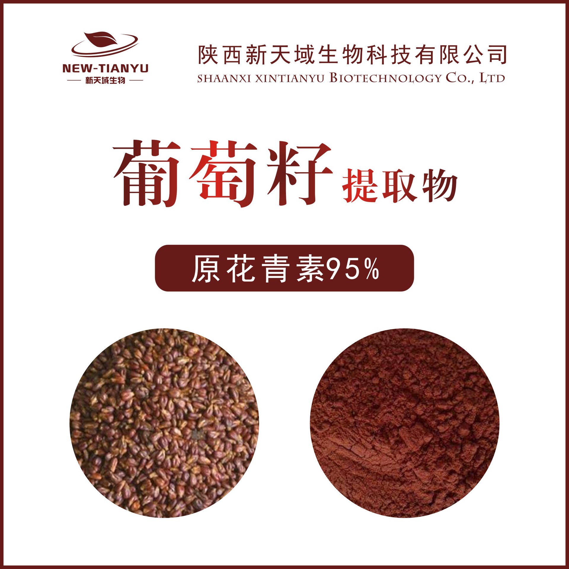 葡萄籽提取物原花青素95% 水溶性现货 葡萄籽提取物 天域生物