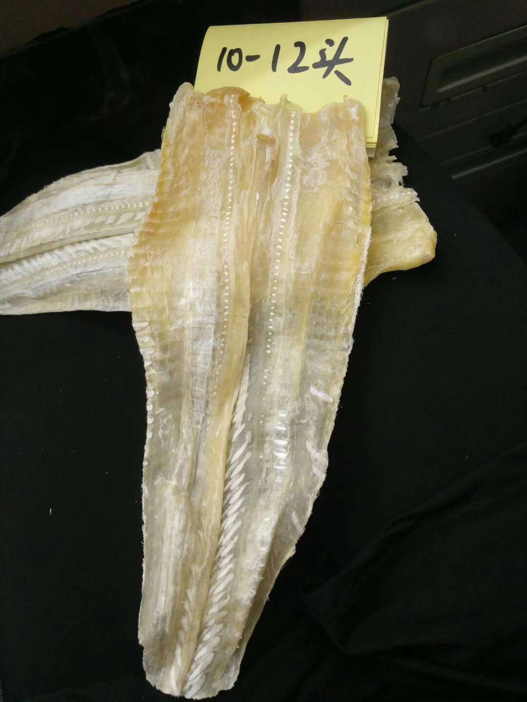 一德路现货批发鱼唇胶 酒店供应鱼唇干货 精选鱼唇10-12头500g