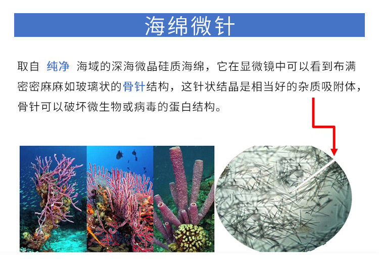 源头厂货海绵微针绿色pmps痘痘清肌焕颜黑头紧实颜色不均海藻微针