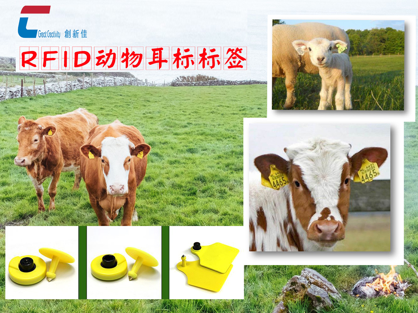 创新佳供应含有915mhz超高频射频识别防咬式rfid动物耳标