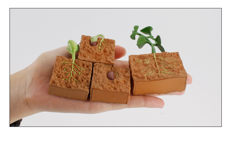 跨境儿童仿真动物成长周期模型蝴蝶青蛙海龟蚂蚁公鸡蜜蜂玩具摆件