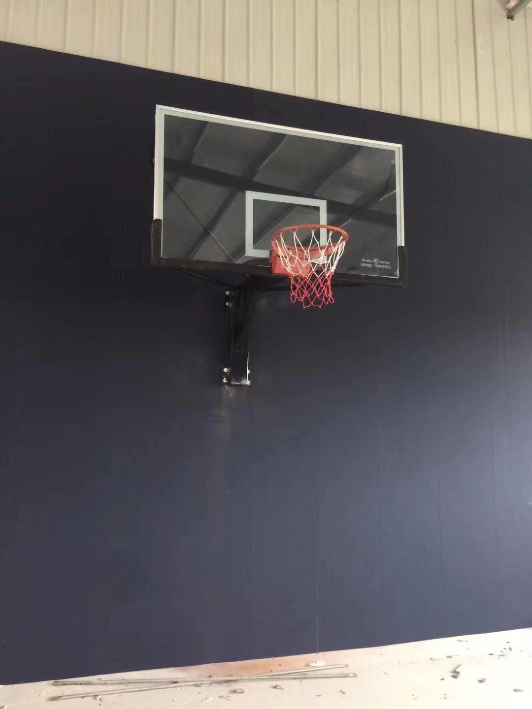 壁挂式篮球架固定成人标准篮圈篮球板家用墙壁室外室内室内可升降