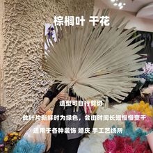 棕榈叶干花 造景 婚庆造景 节日造景 手工艺插花 花艺培训