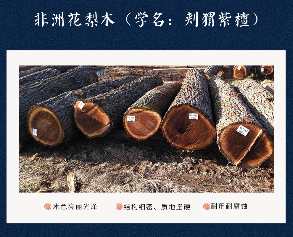 红木家具刺猬紫檀豪华主人椅花梨实木凳子办公椅靠背茶椅休闲座椅