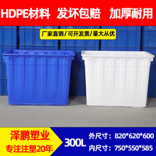 泽鹏300L方形塑料水箱 水产服装养殖箱周转箱