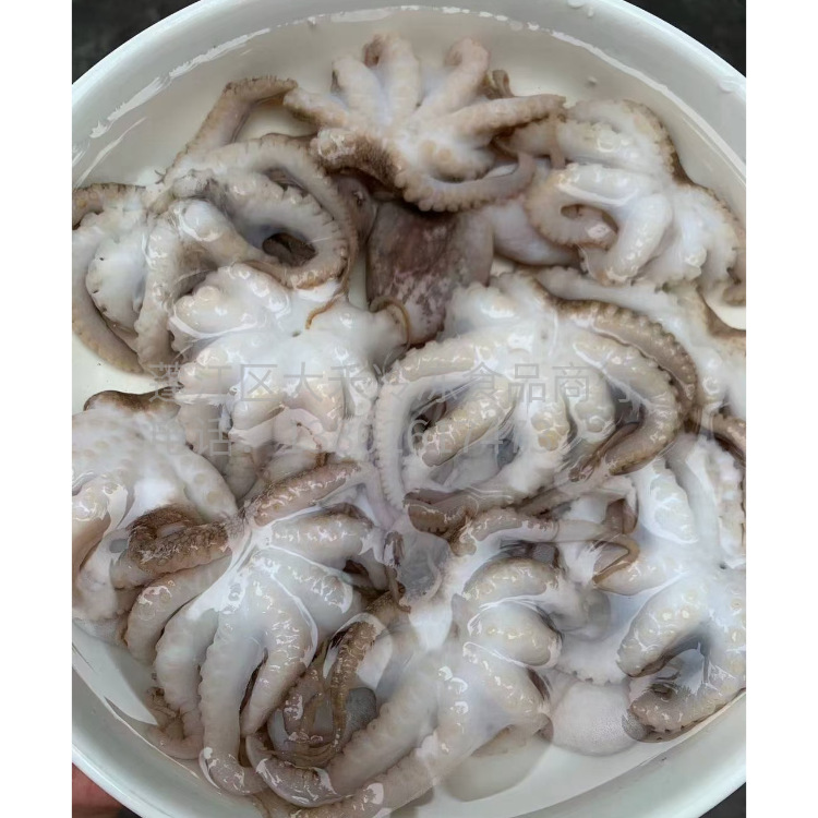 打花小章鱼捞汁海鲜小墨鱼仔章鱼仔小八爪鱼三去火锅食材料理冷冻