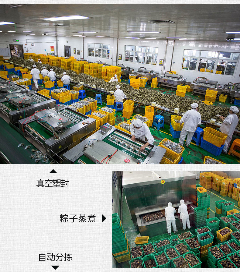 蛋黄黑猪肉粽130g*8 粮午斋嘉兴粽子批发oem代加工厂家直销新鲜粽