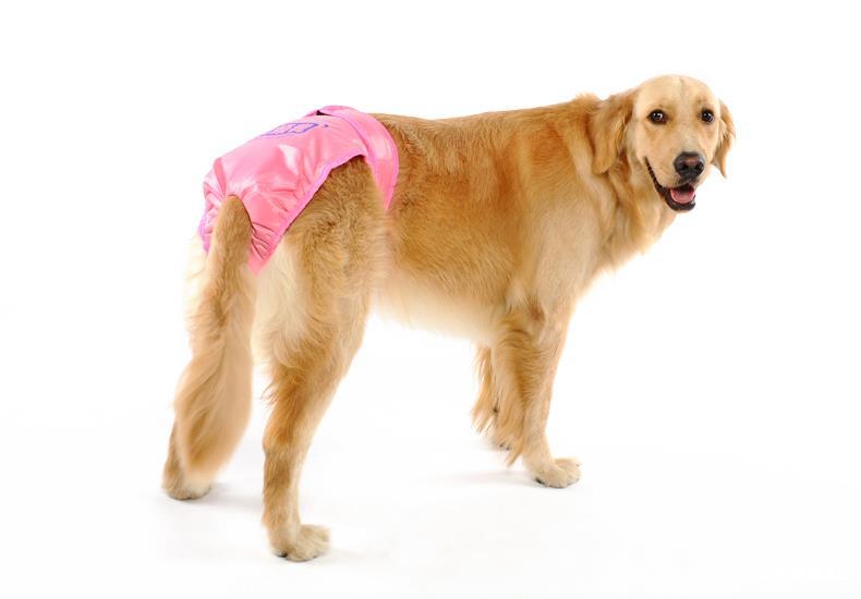 母狗狗生理裤女大型犬柯基宠物大狗月经期姨妈巾金毛卫生安全内裤