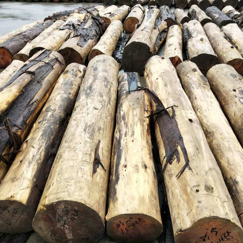 现货直供香柏原木木材 古建家具棺材雕刻古建园林香柏 黄柏原木