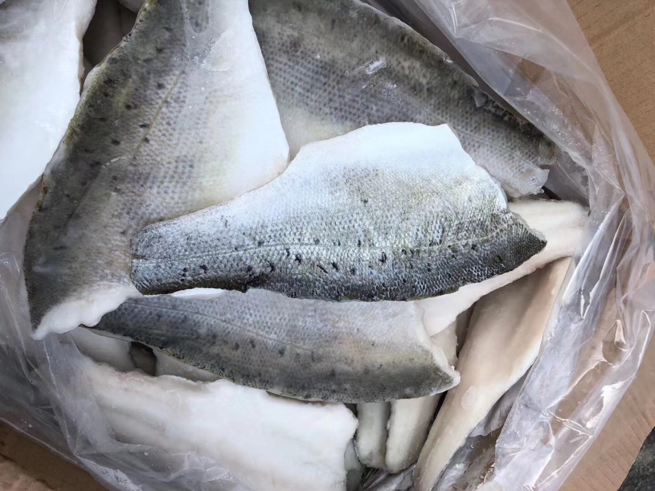 批发开背海鲈鱼酸菜鱼柳海鲈鱼火锅酒店水煮鱼食材海鲈鱼片中段