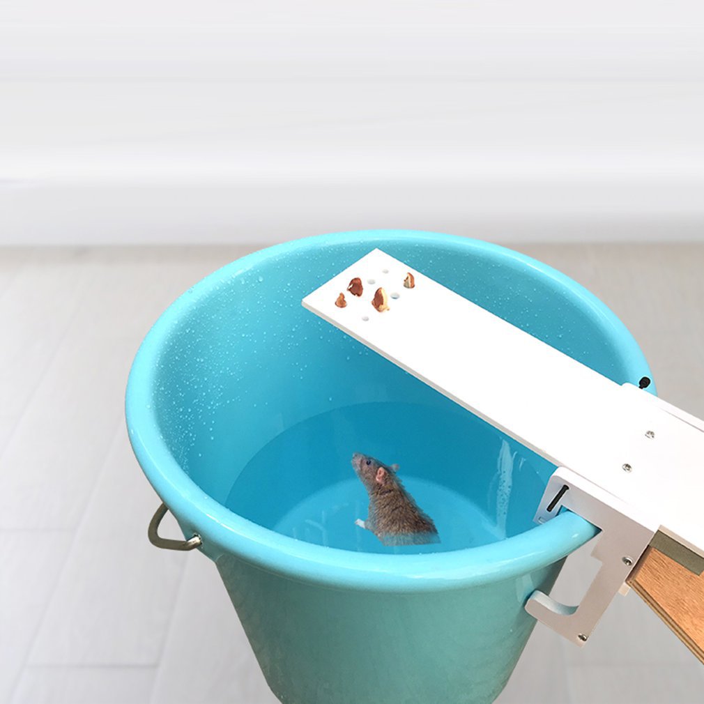 2020新款老鼠笼诱捕式循环使用老鼠跷跷板自动捕鼠器粘鼠器灭鼠器