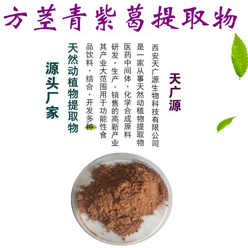 方茎青紫葛提取物 10:1 方茎青紫葛浓缩粉 方茎青紫葛粉 包邮