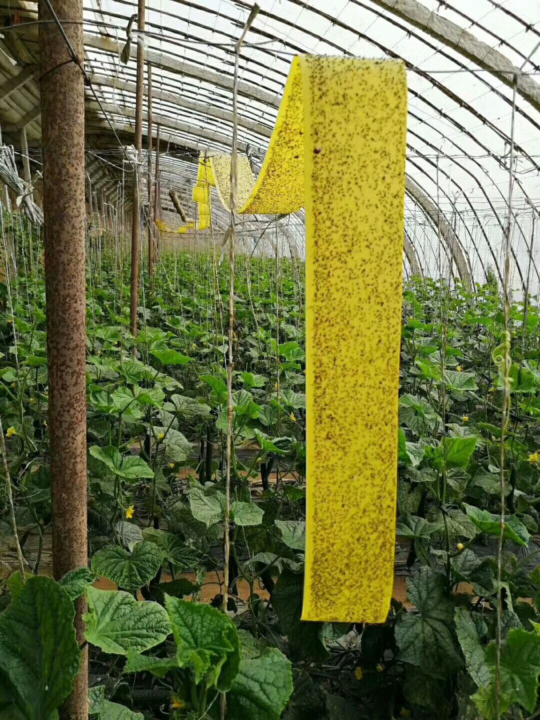 【重点推荐】当前我国制度理论研究的重点是什么