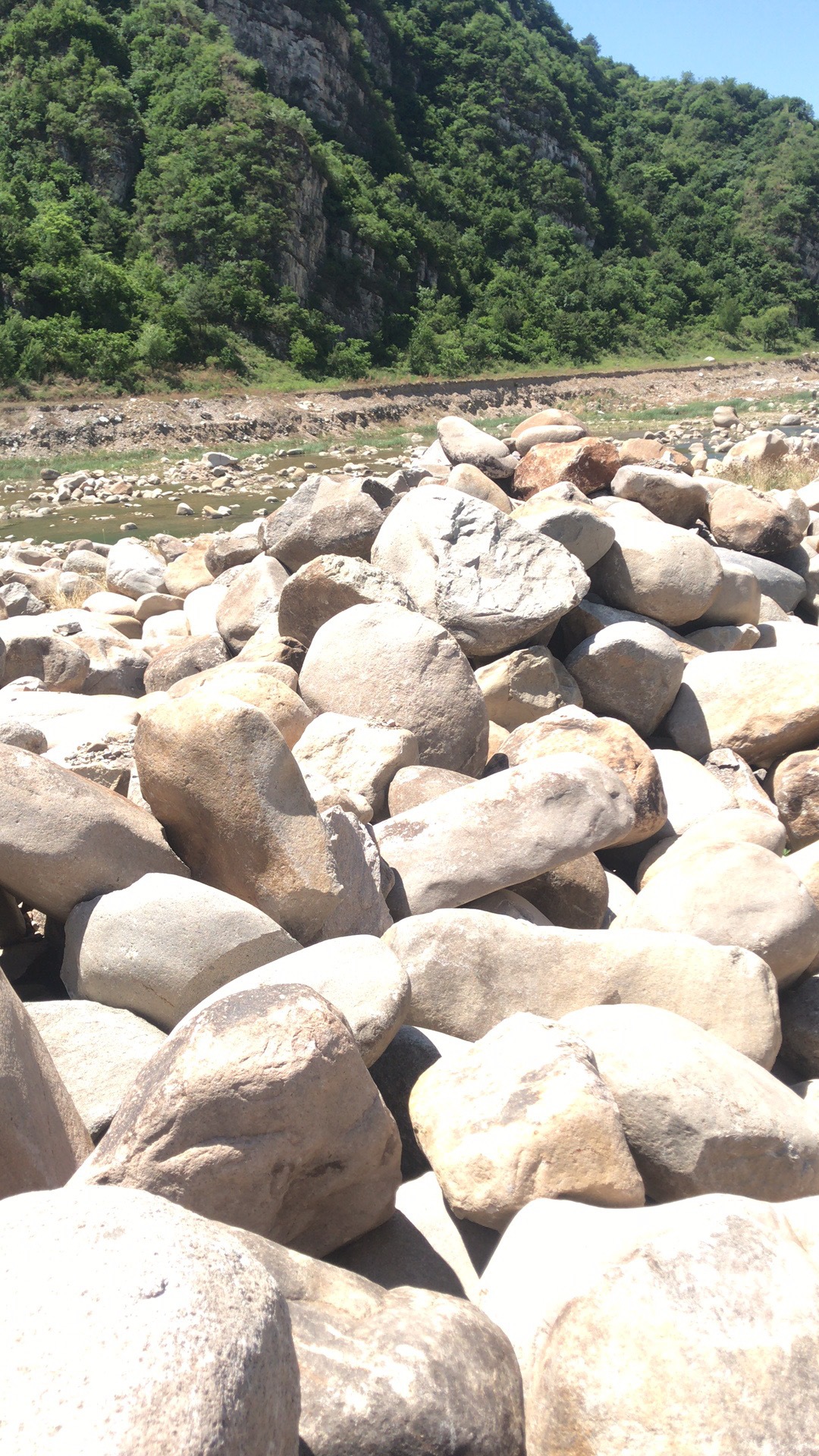 河卵石 公园风景石 河岸湖边风景石 雄安新区用 造景石头庭院装饰
