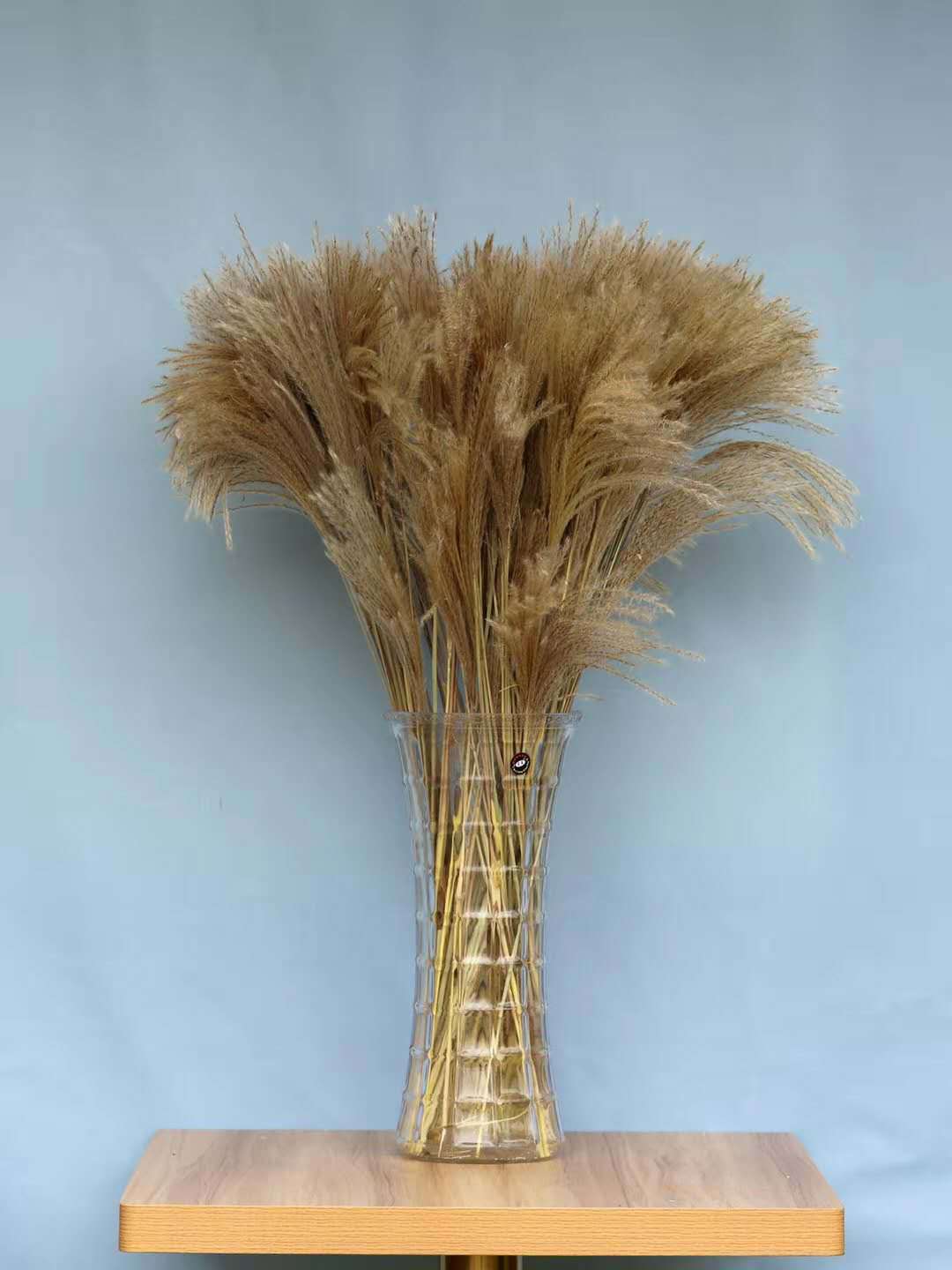 干花小芦苇花束节日装饰天然芦苇花拂尘永生花1束50支拂尘花跨境