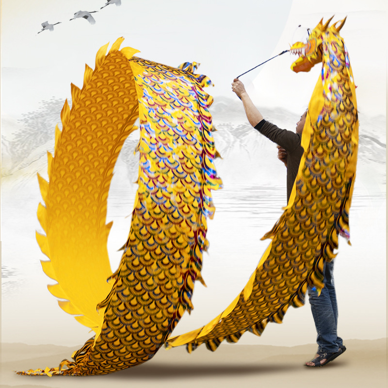 健身龙彩带甩龙广场舞飘带龙头儿童手舞龙老人龙舞耍龙道具整套