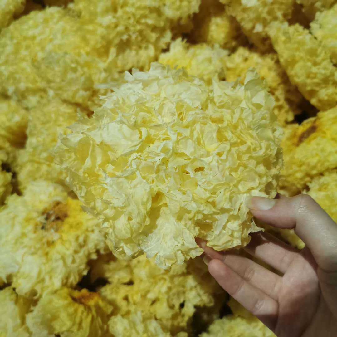 银耳500g古田特产干货 选朵白木耳原产地 糯雪耳散装批发直发