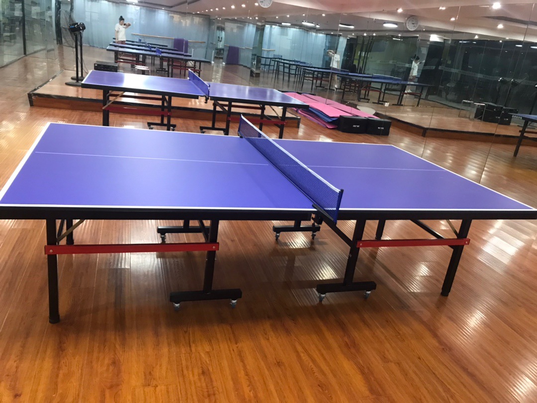 乒乓球台室内折叠可移动标准比赛乒乓球桌家用多功能球馆赛事球台