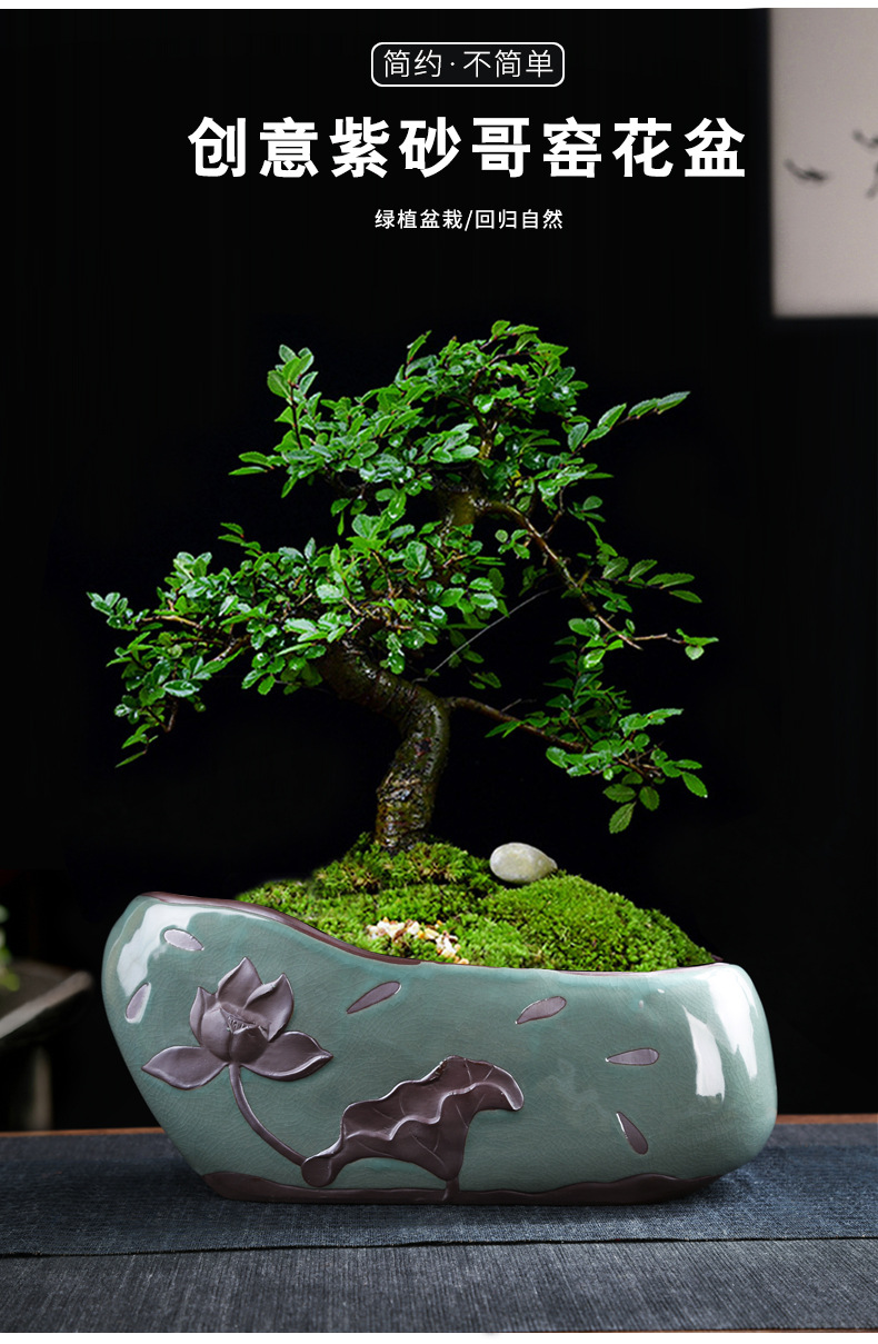 文竹菖蒲盆栽花卉小叶紫檀假山盆景盆石头造景小榕树室内长方紫砂