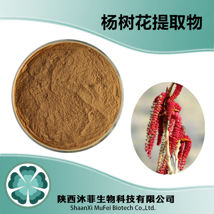杨树花提取物101比例萃取提取粉现货供应提取杨树花粉