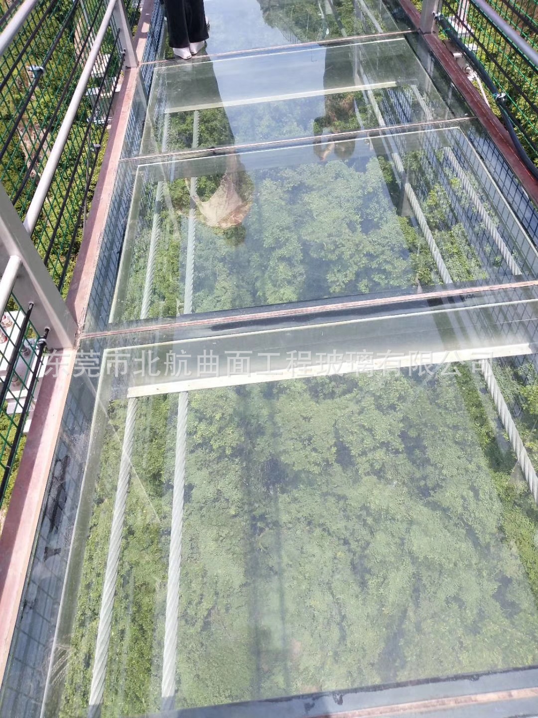 【厂】家直售 批发 夹胶玻璃 6 6,8 8双层白玻钢化 防爆安全玻璃