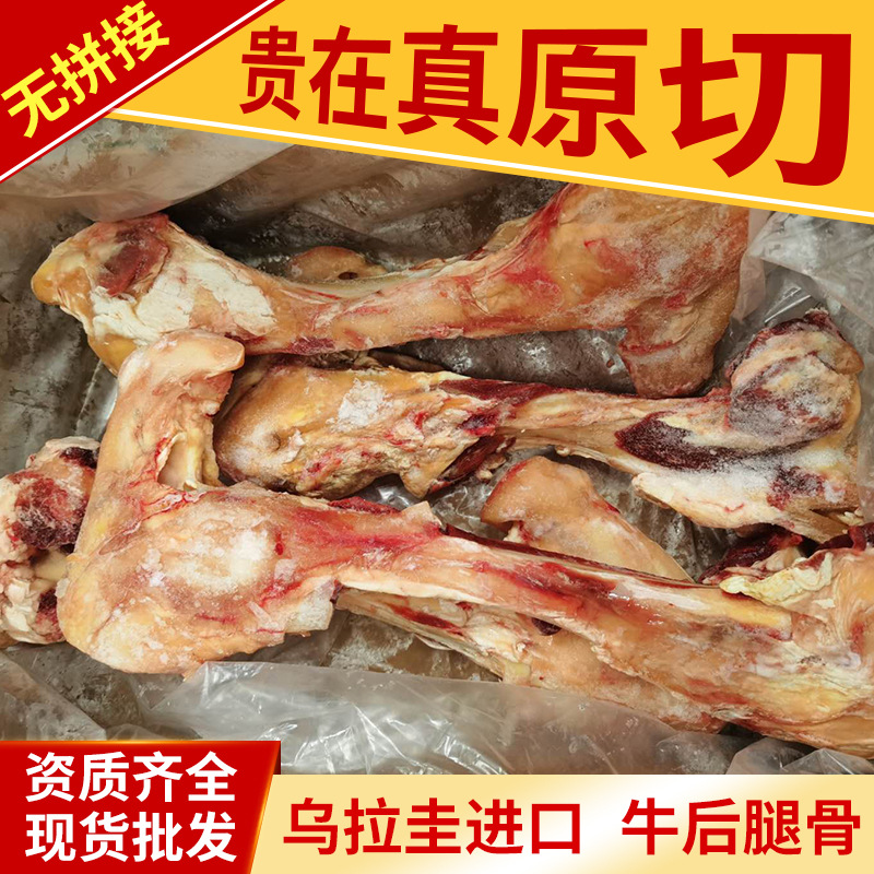 乌拉圭进口344厂牛后腿骨牛棒