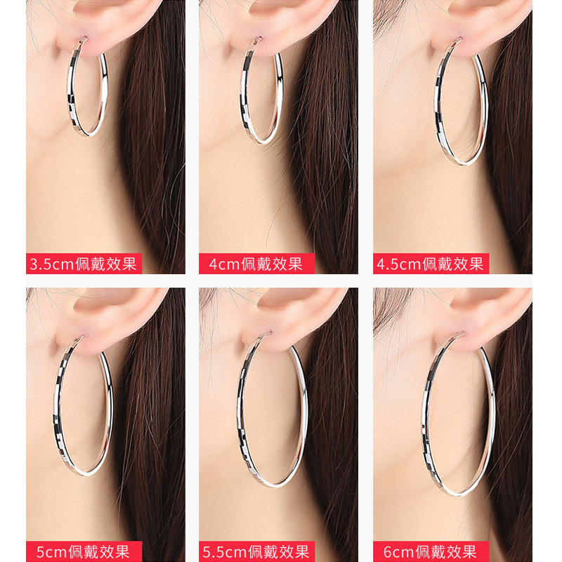 925 Sterling Silver High Sense round Ring Earrings Women's New Korean Temperamental Minority Design Sense Big Ear Ring Thin-Looking Earrings