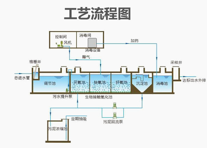 美丽乡村建设农村生活污水处理设备 清洗大蒜污水处理设备 厂家