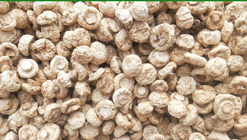 口蘑干品1000克云南特产大个无根白蘑菌菇白蘑菇干货菌白蘑菇批发