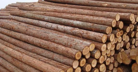 acb070899e510fb31a8d24ebce33c8