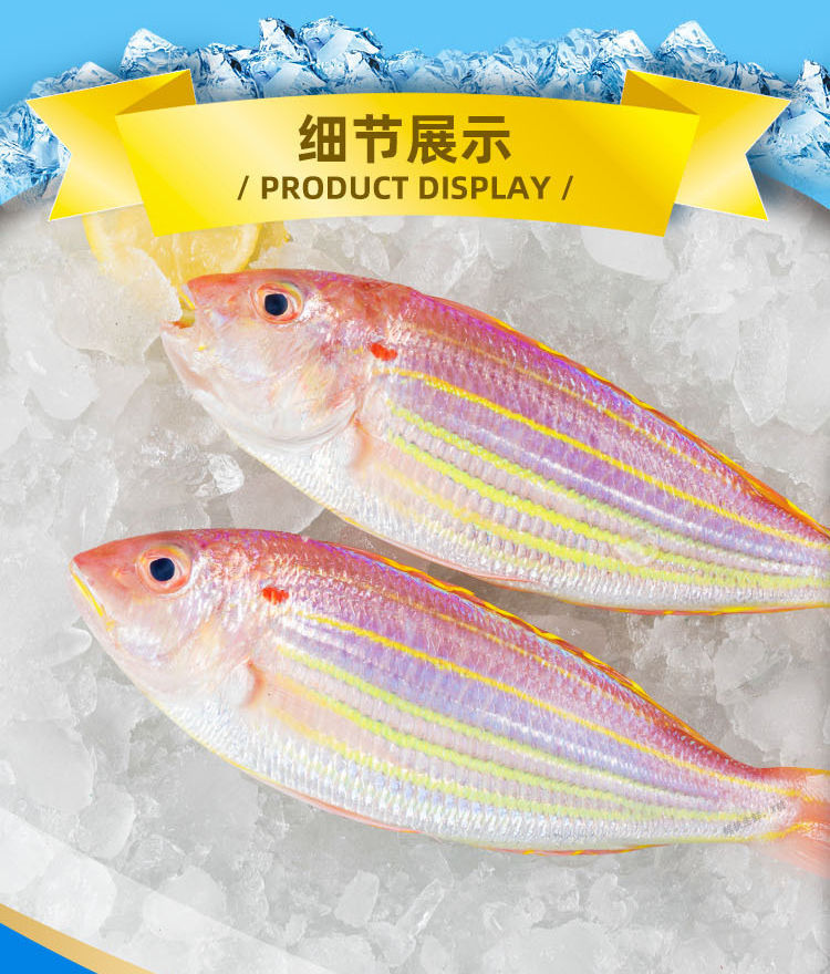 5斤顺丰包邮鲜红杉鱼新鲜海钓金线鱼水产深海捕捞冷冻红三鱼鲜活
